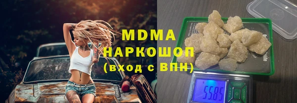 крисы Бородино