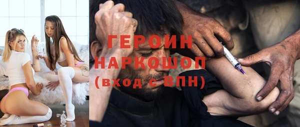 крисы Бородино