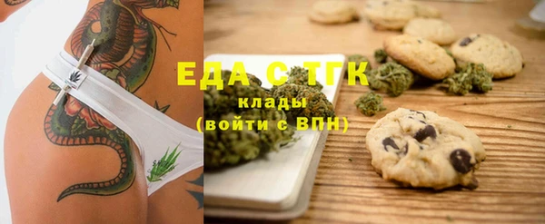 крисы Бородино