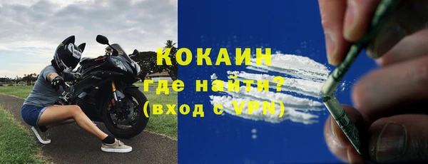крисы Бородино