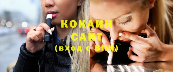 крисы Бородино