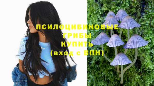 крисы Бородино