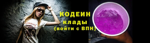 дживик Саяногорск