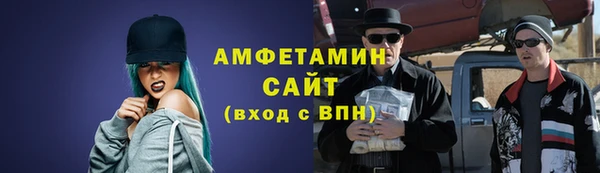крисы Бородино