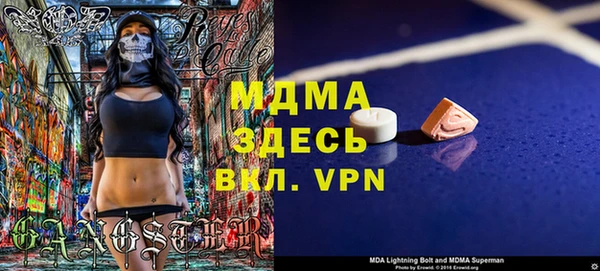 крисы Бородино