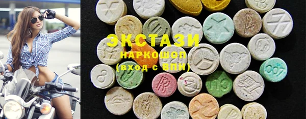 крисы Бородино