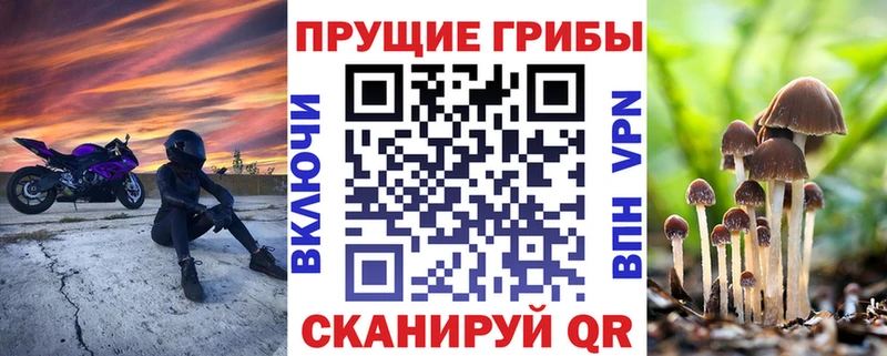 где купить   Ковдор  гидра как зайти  Галлюциногенные грибы Psilocybine cubensis 